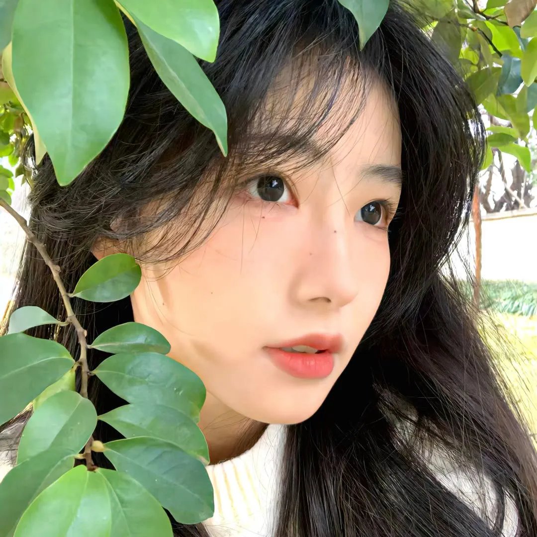 相思成云烟